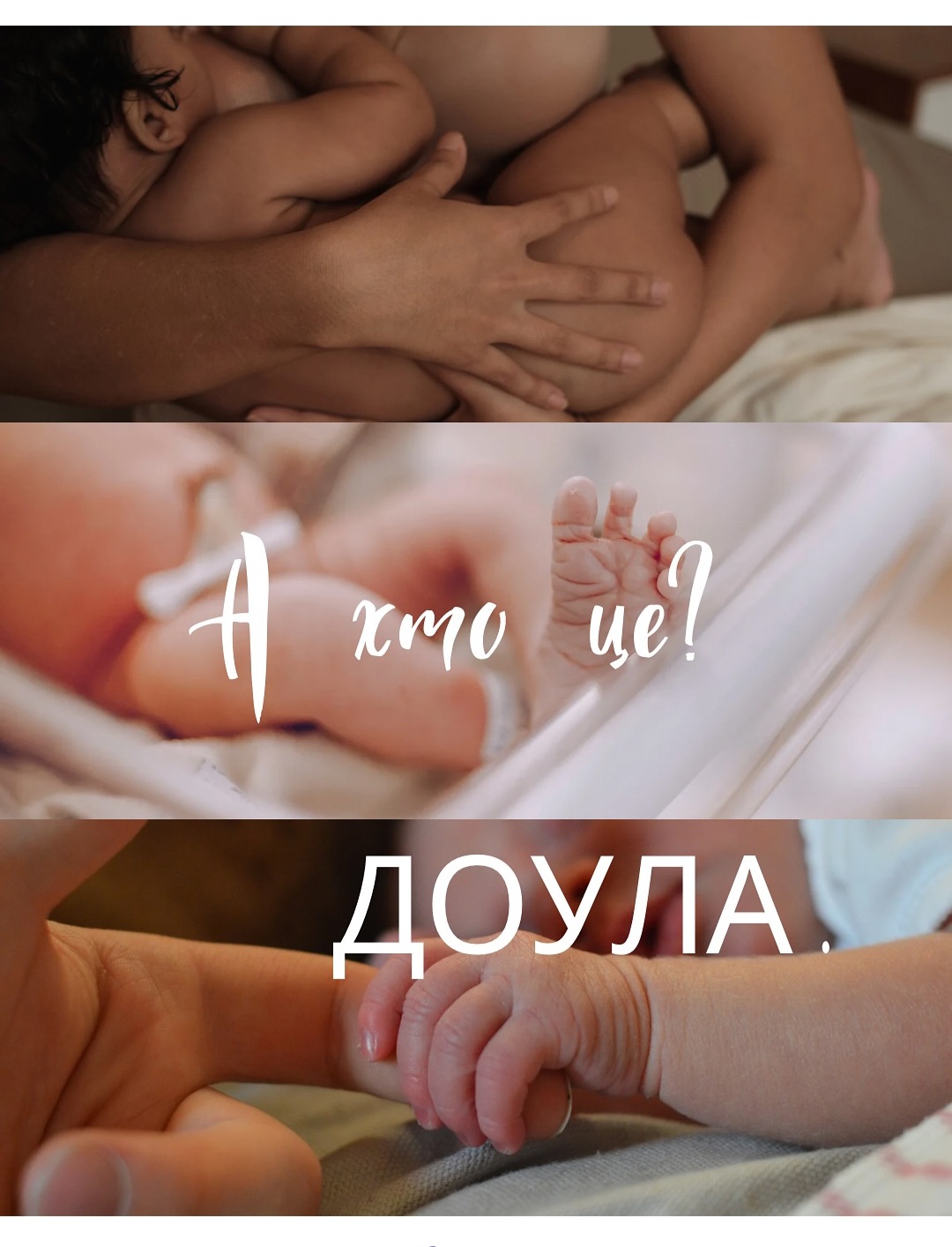 Доула в пологах